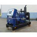 18 years experiences CE standard 10KW biogas generator